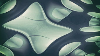 菌的相关知识全解析:从细菌到真菌,轻松掌握微生物世界