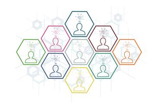 菌类百科大全图片：高清识别与安全采集全攻略，轻松辨别可食用与有毒蘑菇