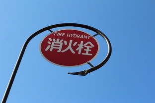 科普冷知识app：解锁趣味知识宝库，让学习变快乐游戏